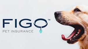 figo-insurance