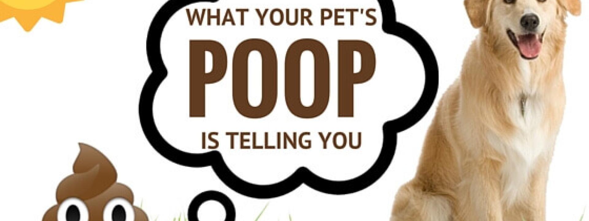 pet poop